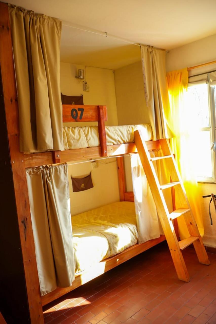 Hostel House 64Biguea เอลกาลาฟาเต ภายนอก รูปภาพ
